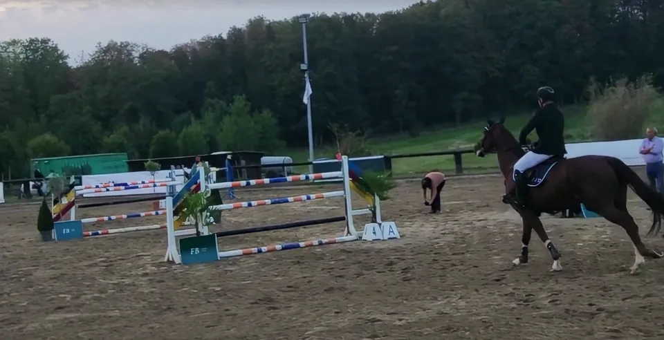 Urania des Courtis Z in the ring at the Stoeterij Padenborre Masters, at dusk.