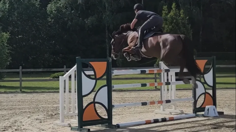 Urania des Courtis Z, a chestnut mare, over an orange and white oxer.
