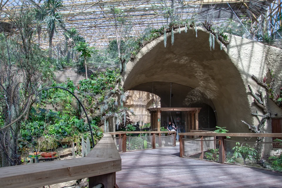 Edenya: a wooden walkway leads to a cave under the glass roof, among tropical plants and vines.
