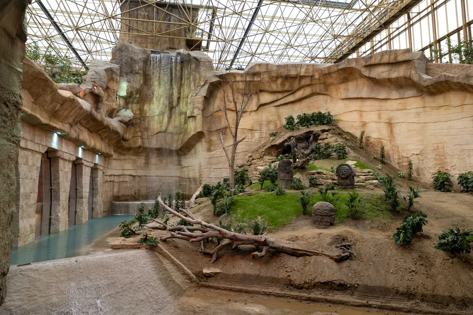 Edenya: under the glass roof, the waterfall and the jaguars’ territory between Maya-style carved walls.