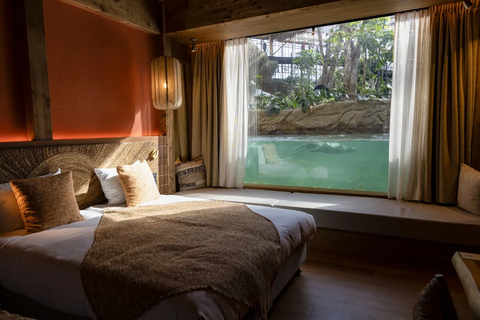 A room at the Riverside Haven, in Edenya: the bed faces a large window onto the giant otters’ pool.